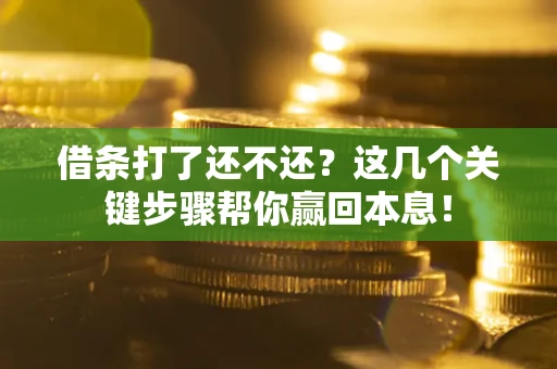 济南借条打了还不还？这几个关键步骤帮你赢回本息！